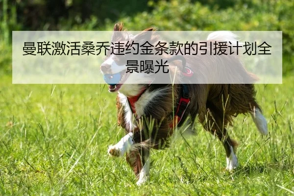 曼联激活桑乔违约金条款的引援计划全景曝光